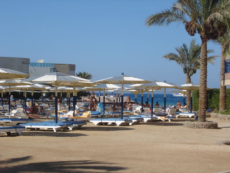 Plaża w starej części hotelu Seagull Beach Resort