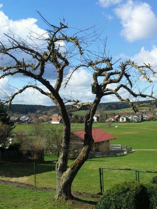 Garten Zusamtaler Ferienwohnung