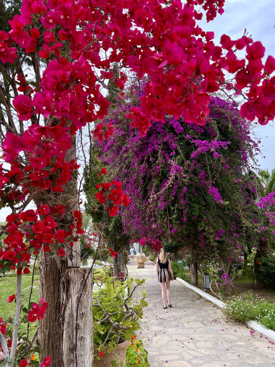 Gartenanlage The Orangers Beach Resort and Bungalows