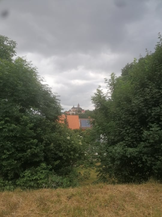 Ausblick REGIOHOTEL Schanzenhaus Wernigerode