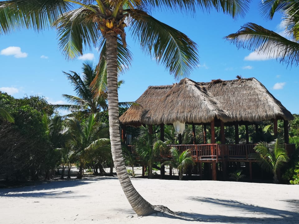 Außenansicht Akumal Bay Beach & Wellness Resort