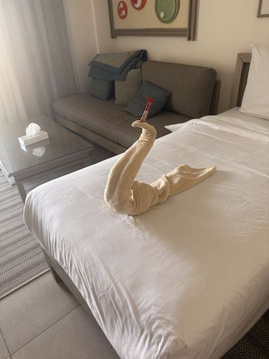 Zimmer Iberotel Casa Del Mar Resort