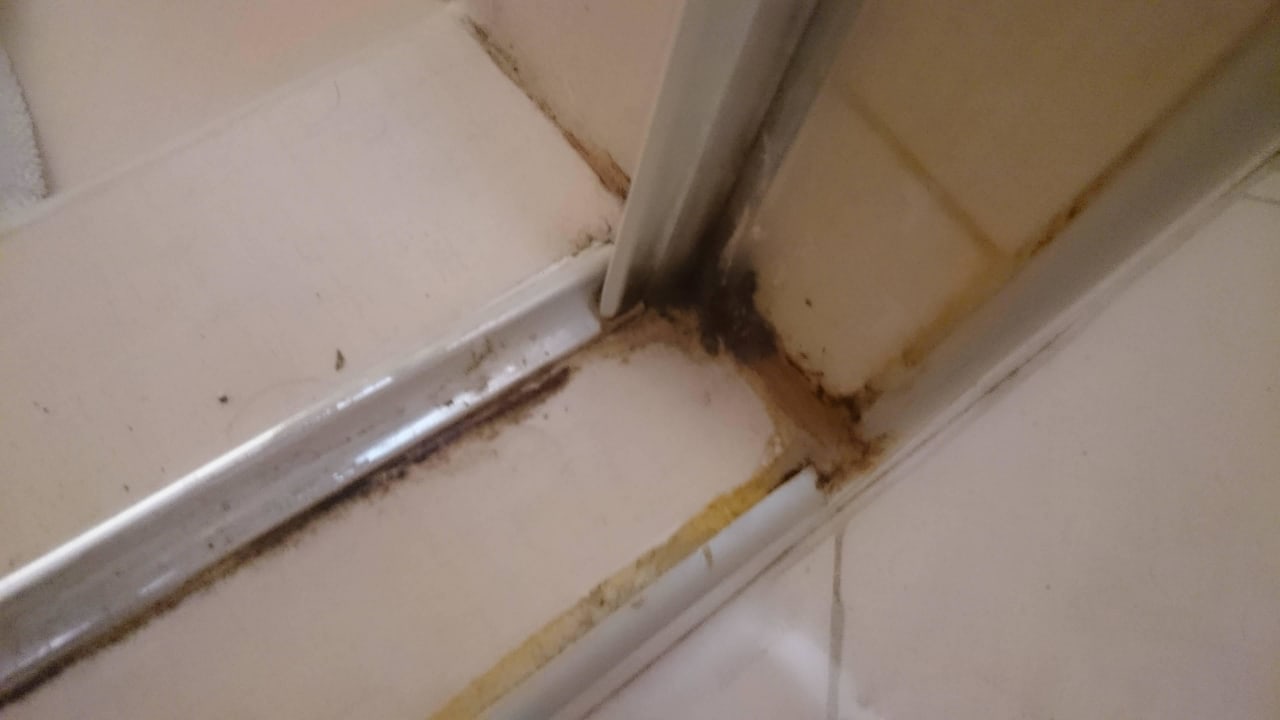 Schimmeliges Bad Dream Family Club