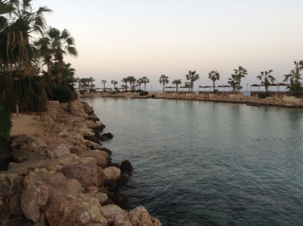 Lagune  Pickalbatros Citadel Resort