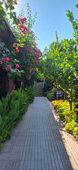 Gartenanlage Can Garden Beach