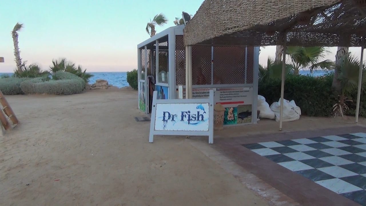 Marina Pickalbatros Citadel Resort