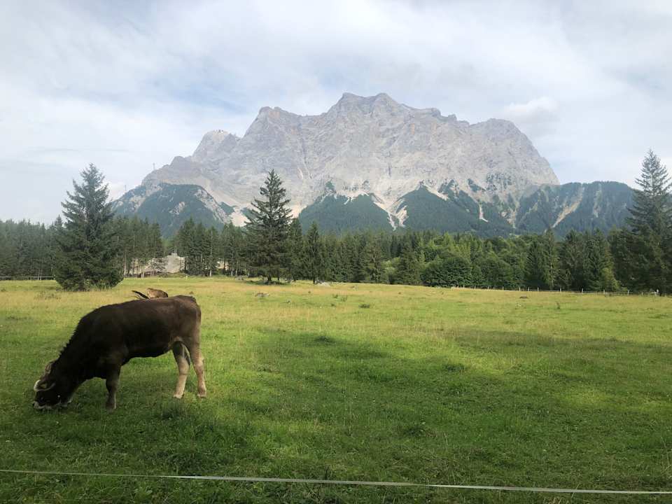 Ausblick Apart Hansler "das Liara" mit Infrarotkabine und Balkon