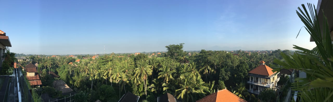 Ausblick Ubud Village Hotel