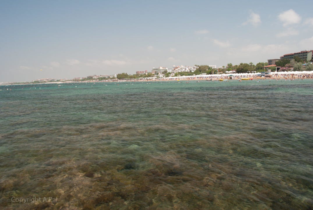 Klares Waser Merve Sun Hotel & Spa