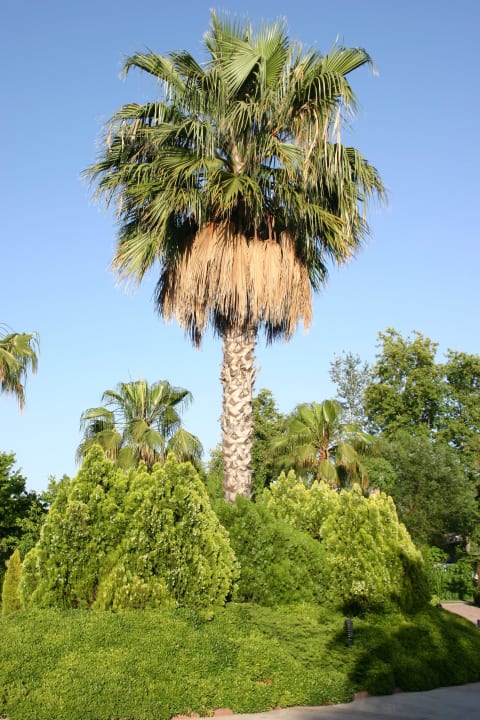 Nähe Rezeption Club Tuana Fethiye