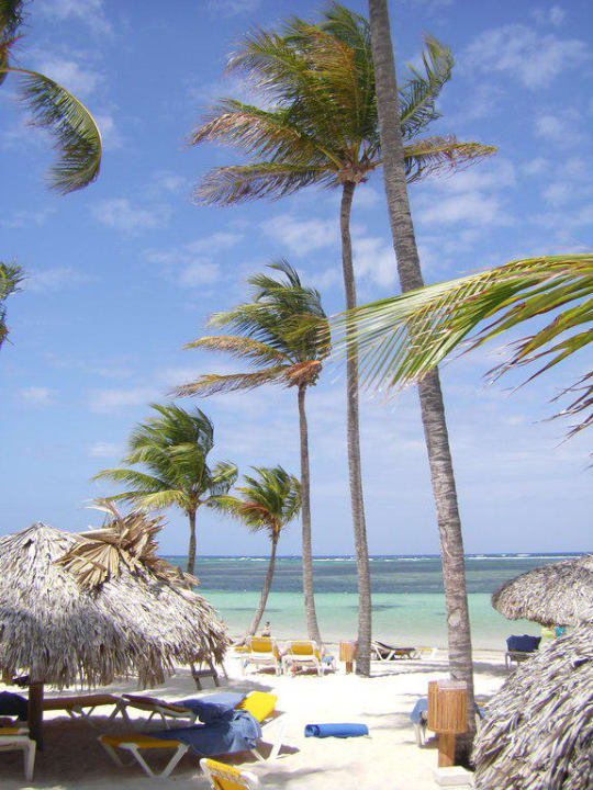 Strand direkt vor dem Hotel Catalonia Punta Cana - All Inclusive