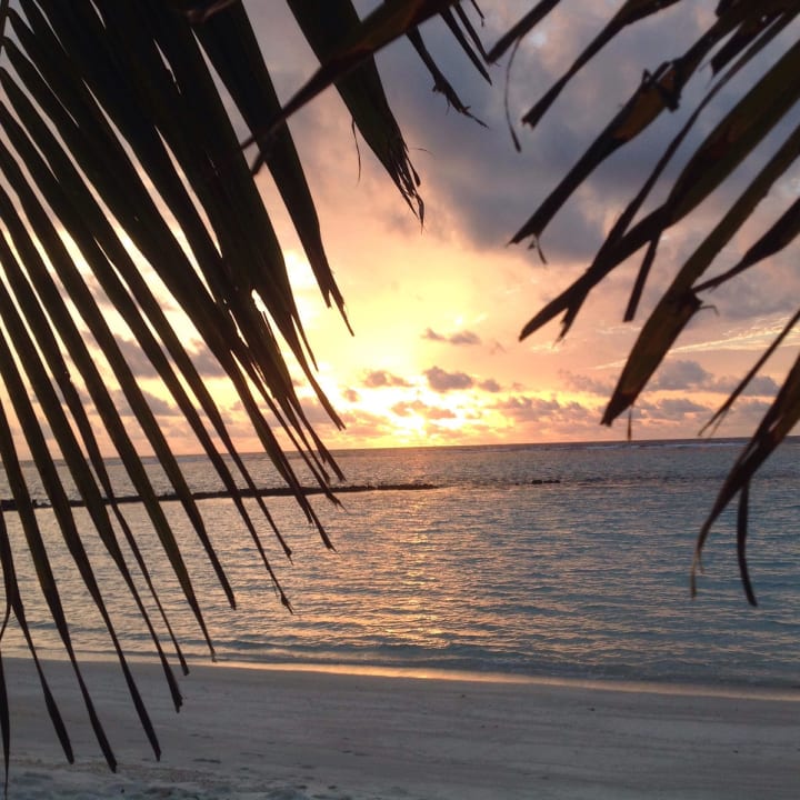 Ausblick Summer Island Maldives
