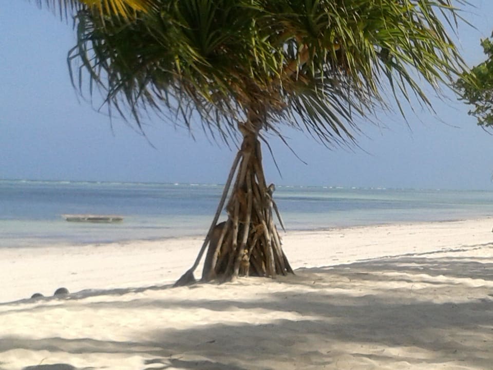 Ohne Worte Neptune Pwani Beach Resort & Spa