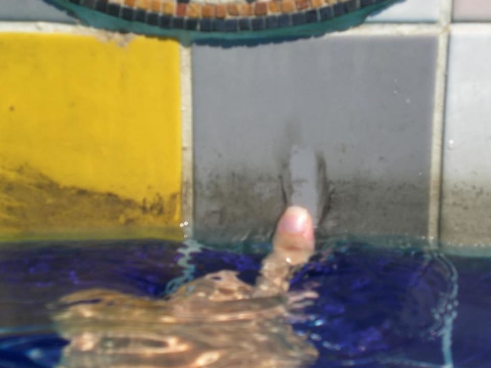 Dreck am Pool Club Hotel Mirabell