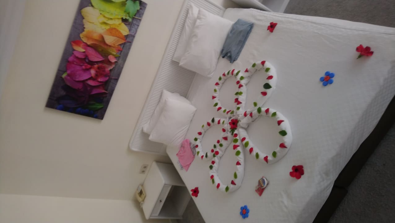 Zimmer Monachus Family Resort Sorgun