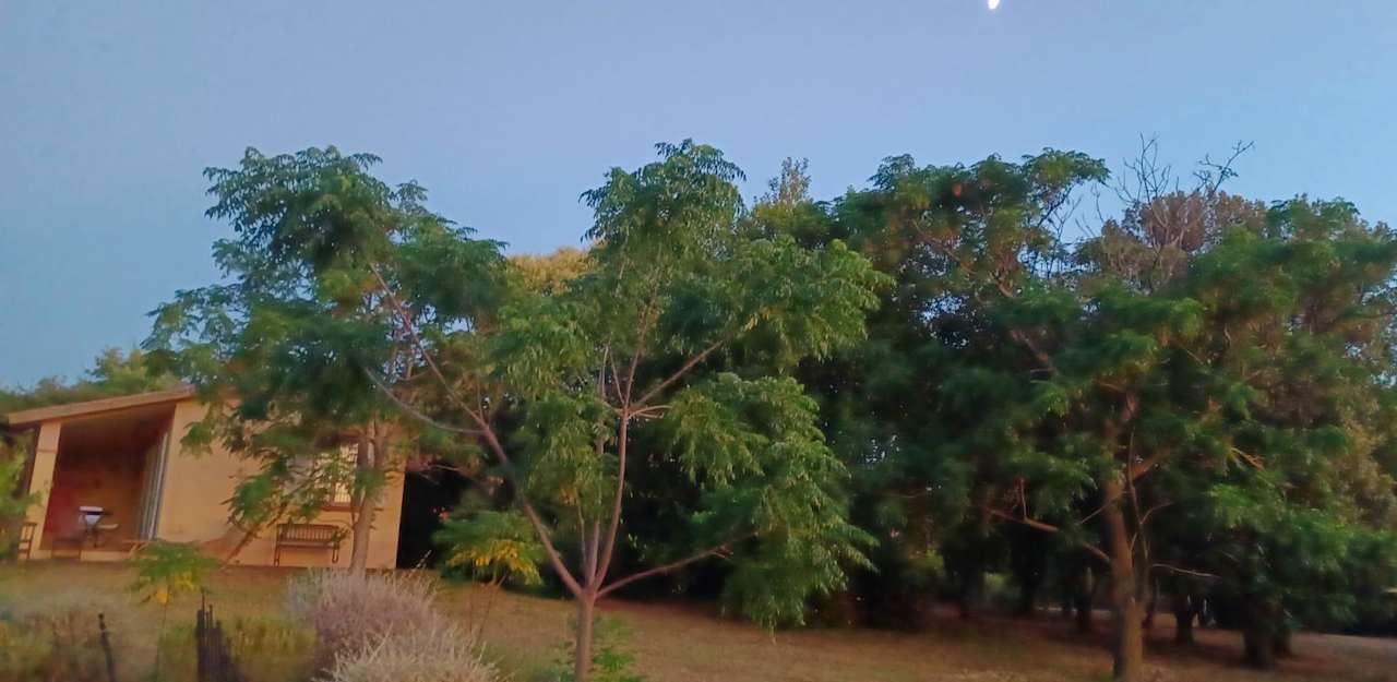 Außenansicht Appartamenti onda etrusca la terrazza sul mare a san vincenzo