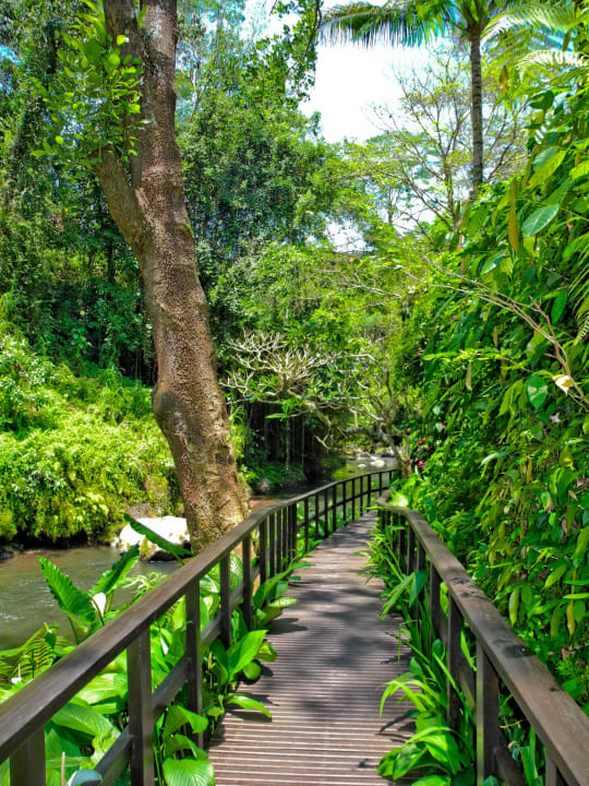 Wild Path Maya Ubud Resort & Spa Bali