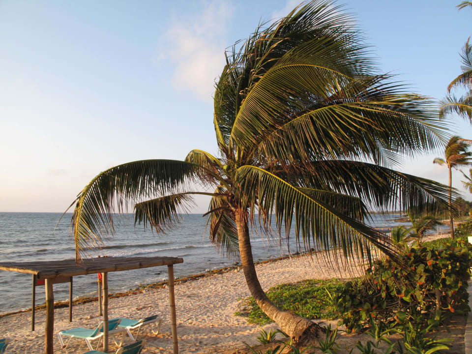 Strand Akumal Bay Beach & Wellness Resort