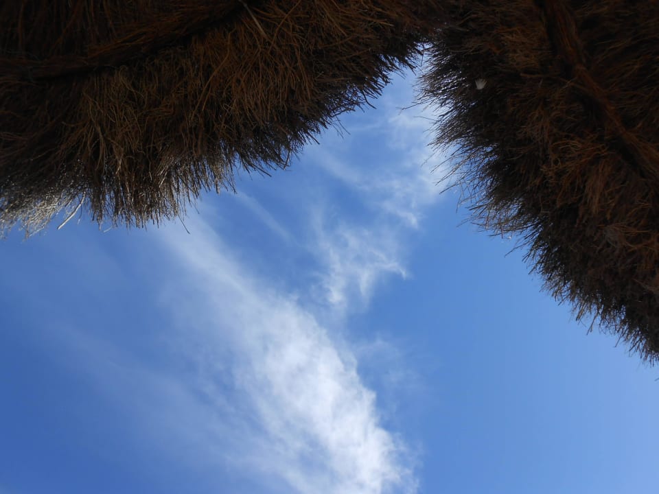 Sonnenschein und 20 Grad im November htop Royal Star