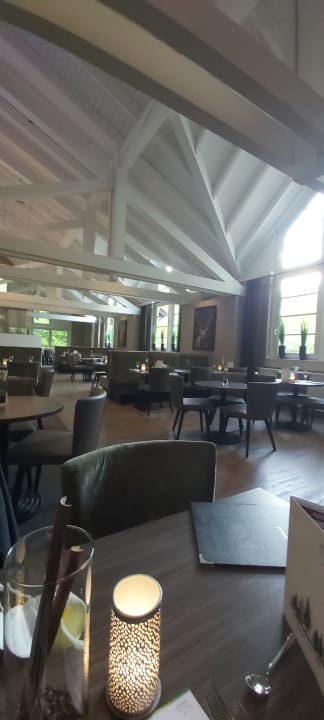 Gastro Relexa Hotel Harz-Wald