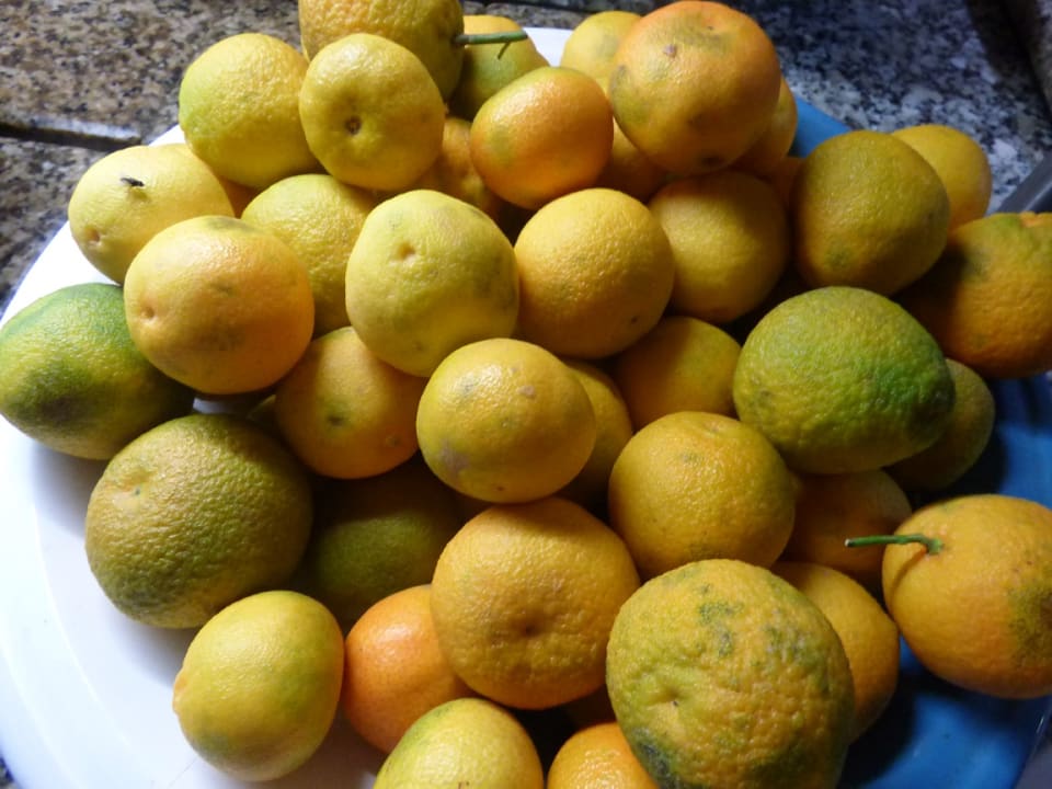 Speisesaal. Hotel Paradis Palace