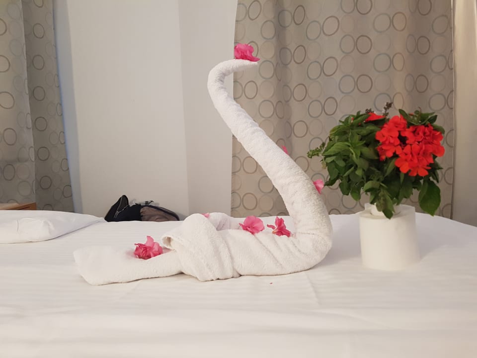 Zimmer Pharaoh Azur Resort