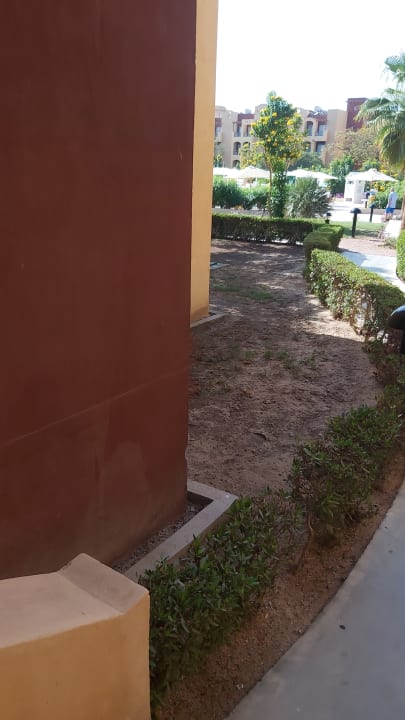 Gartenanlage Lemon & Soul Makadi Garden