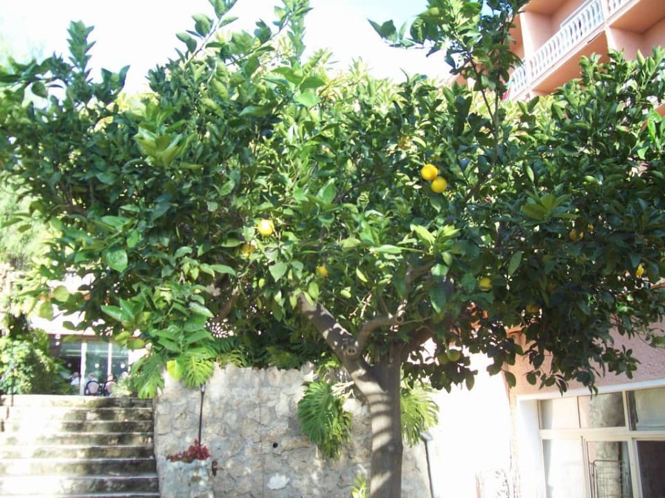 Hotel Siroco Hotel Best Siroco