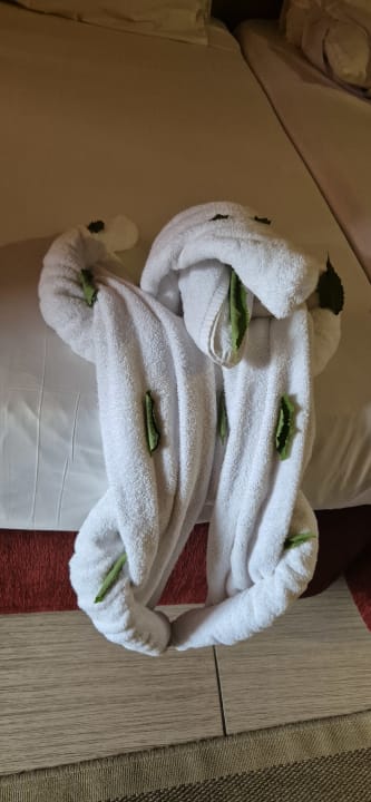 Zimmer Jaz Makadi Oasis Resort