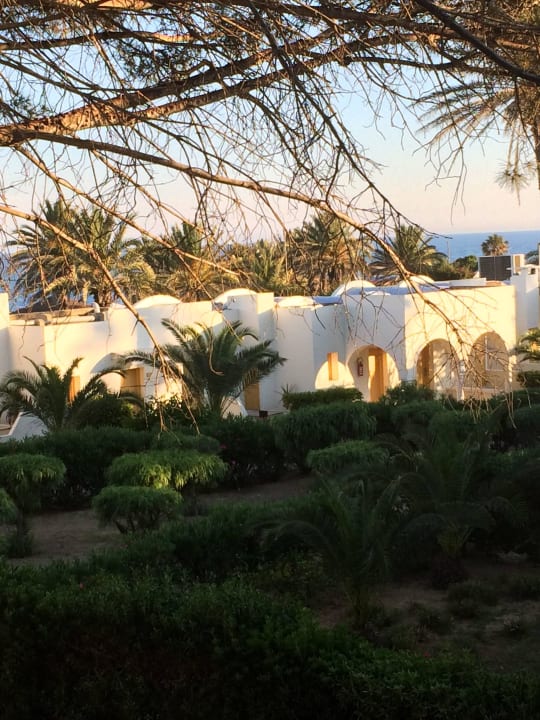 Ausblick aufs Meer Calimera Delfino Beach Resort & Spa