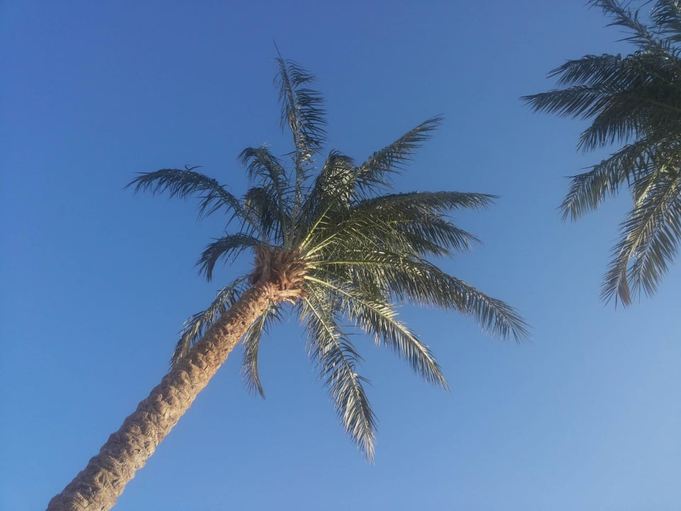 Cleopatra Luxury Resort Makadi Bay Cleopatra Luxury Resort Makadi Bay