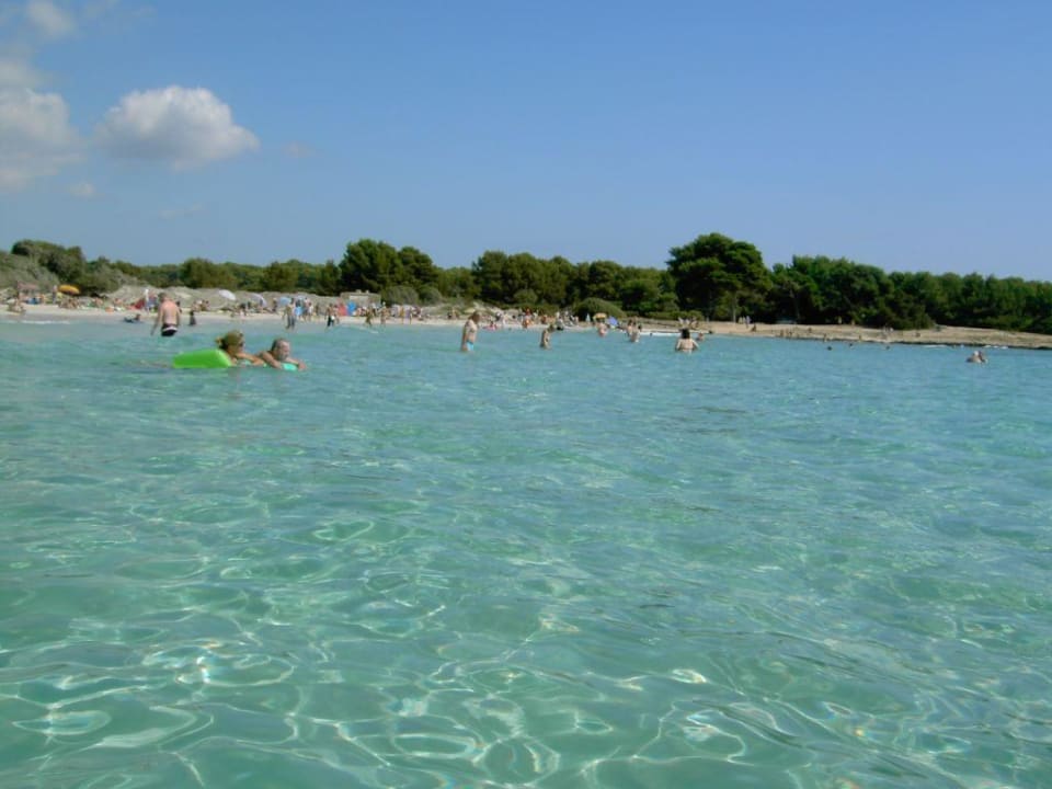 Bucht von Sa Coma Hipotels Mediterraneo Club