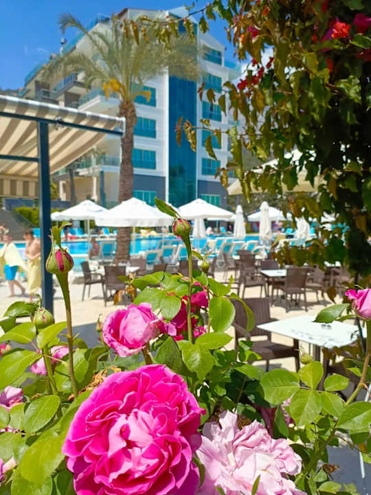 Gartenanlage Hotel Grand Ring