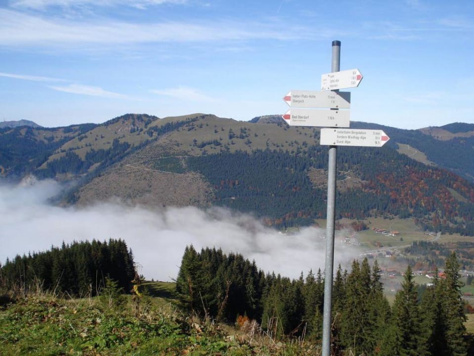 Iseler - Blick vom Hausberg Oberjoch - Familux Resort