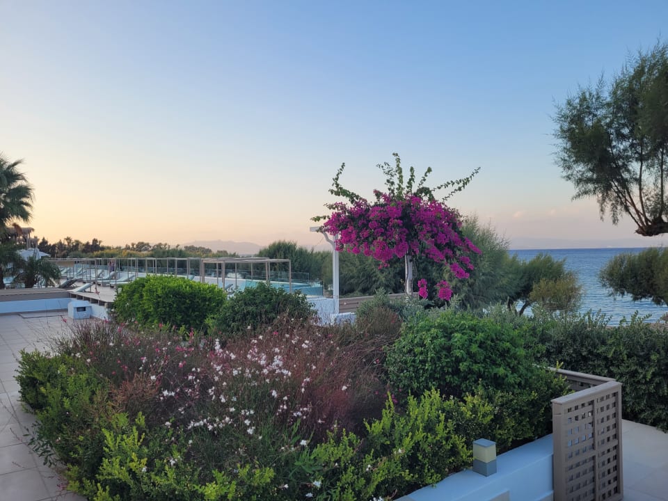 Gartenanlage TUI BLUE Oceanis Beach and Spa Resort