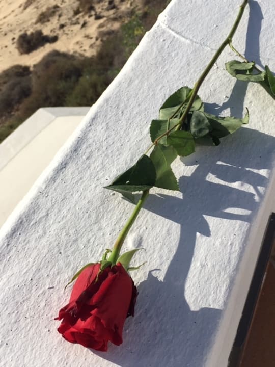 Sonstiges TUI MAGIC LIFE Fuerteventura