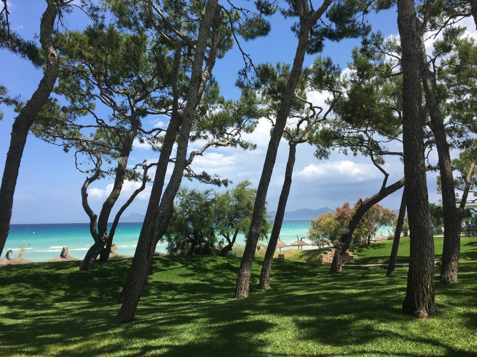 Gartenanlage Iberostar Waves Playa de Muro