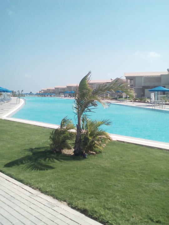 Pool Pickalbatros Sea World Resort - Marsa Alam