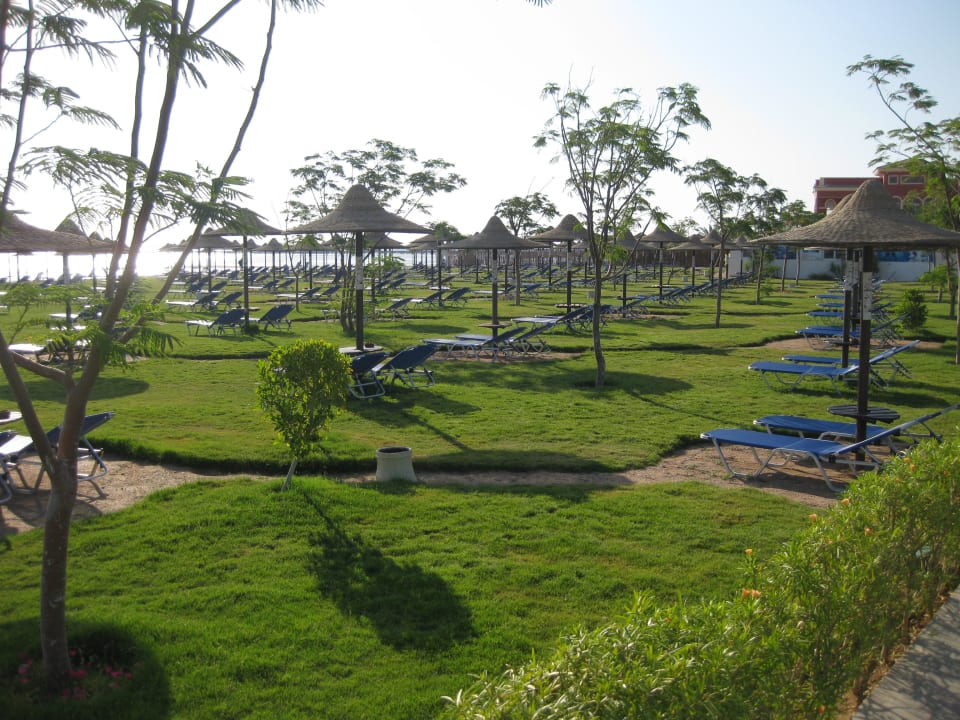 Plaża JAZ Aquamarine Resort