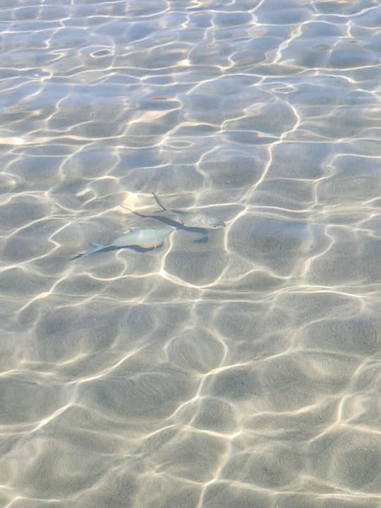 Strand Sentido Caribbean World Soma Bay