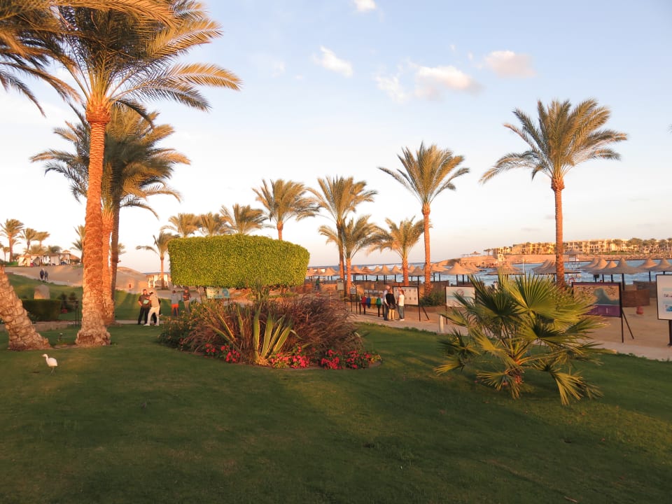 Garten Steigenberger Coraya Beach - Adults only