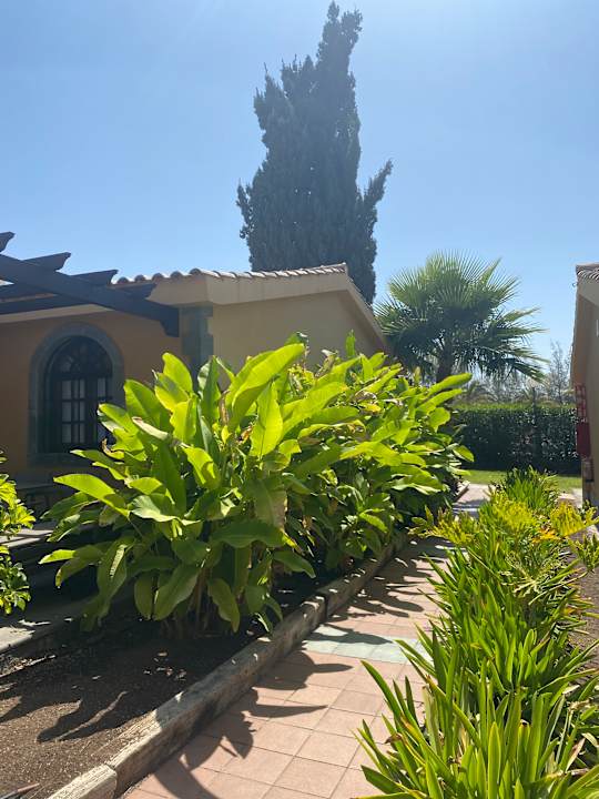 Gartenanlage Suites & Villas by Dunas