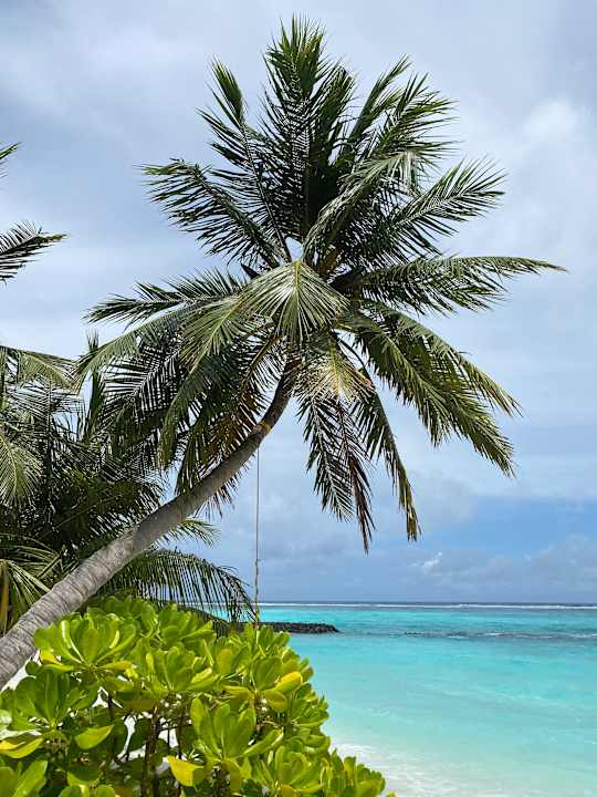 Strand Summer Island Maldives