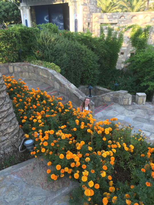 Gartenanlage Arum Barut Collection