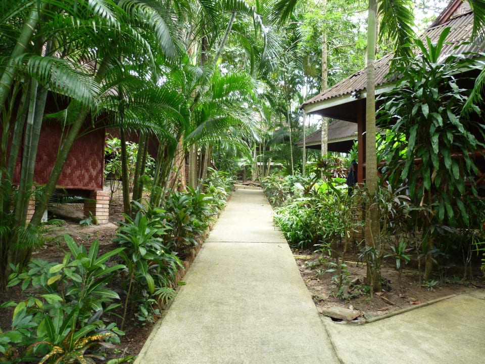 Wege in der Anlage, bei den Bungalows Hotel Tipa Resort