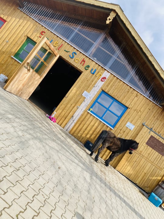 Sport & Freizeit Familotel Der Böhmerwald - Euer Familienhotel im Bayerischen Wald