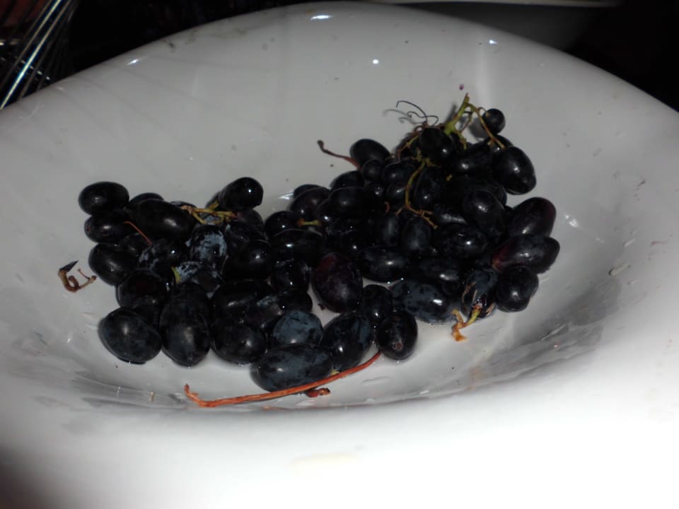 Weintrauben Sultan of Dreams Hotel & Spa