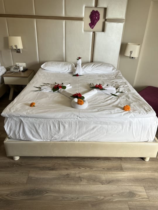 Zimmer Hotel Botanik Platinum