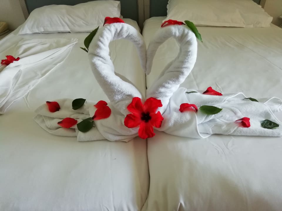 Zimmer Iberostar Waves Averroes