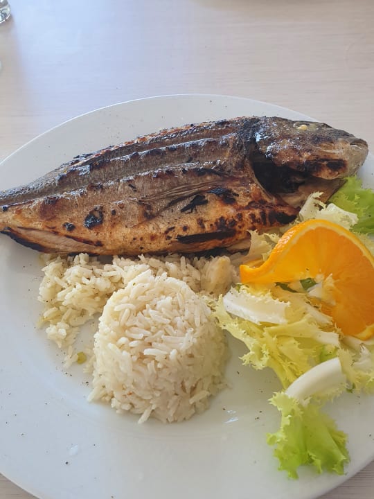 Gastro Hotel Maistrali